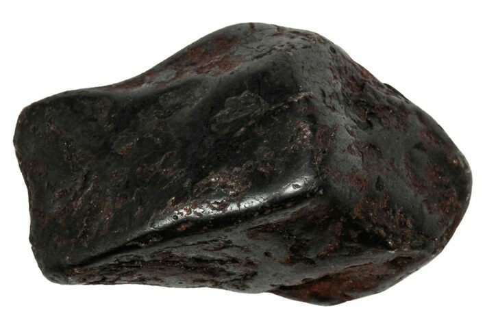 Canyon Diablo Iron Meteorite ( g) - Arizona #336006